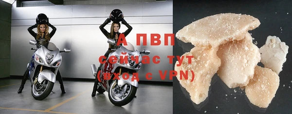 молекула духа Дмитриев