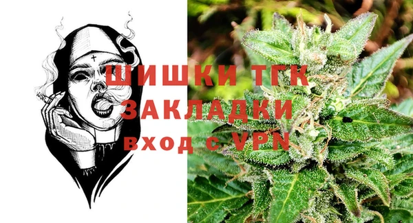 крисы Дмитров