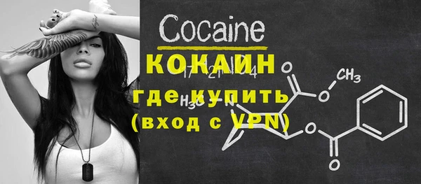 молекула духа Дмитриев