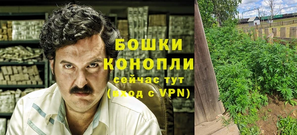молекула духа Дмитриев