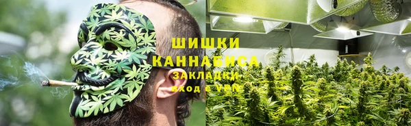 молекула духа Дмитриев