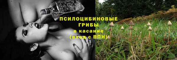 крисы Дмитров