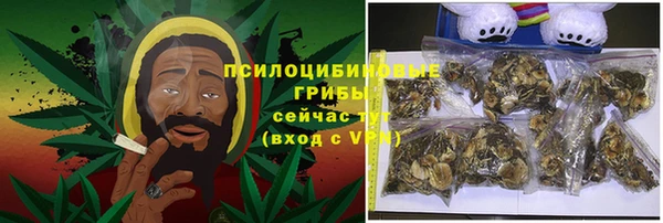 крисы Дмитров