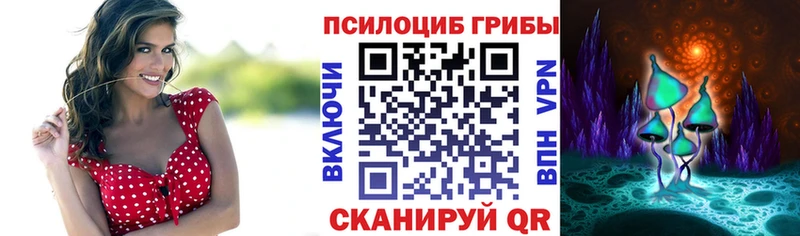 Псилоцибиновые грибы Psilocybe  Петров Вал 